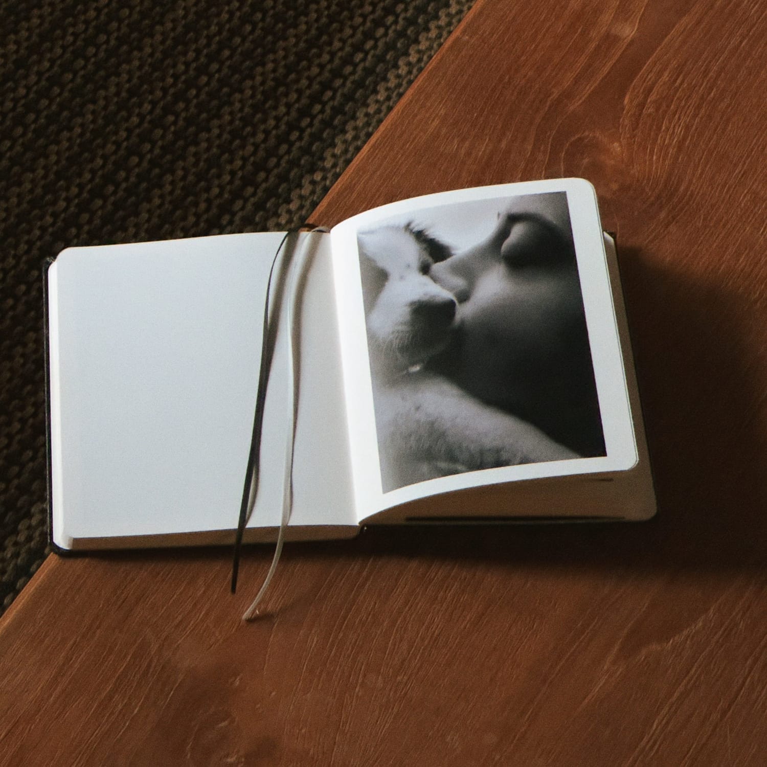 Foto en blanco y negro en el álbum